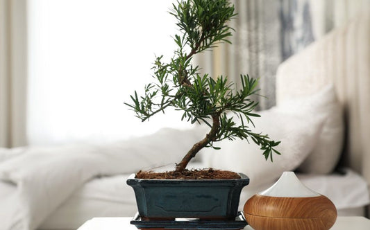 Tips to Help Make Your Bedroom More Relaxing