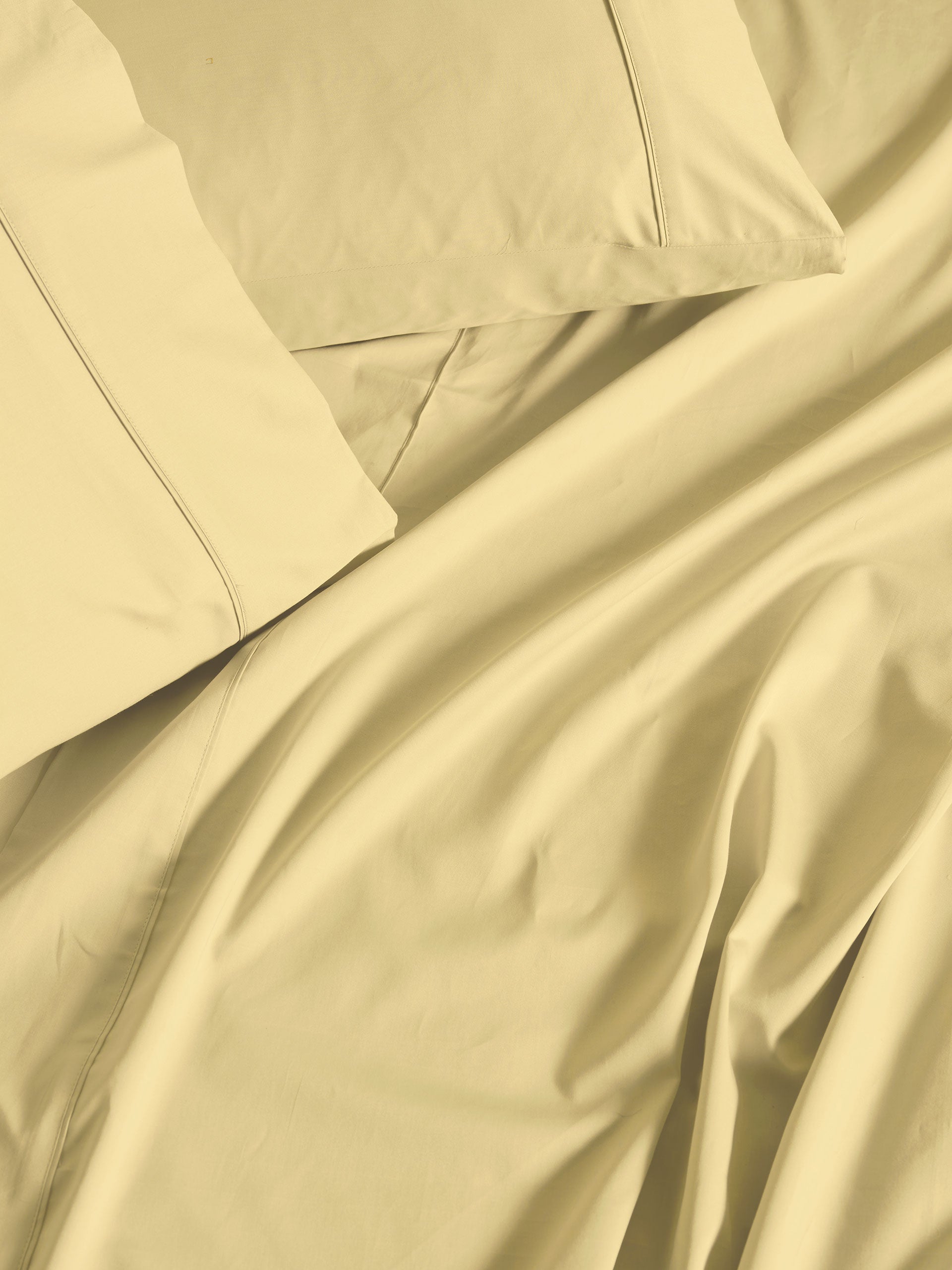 500TC Cotton Sateen Augusta Daffodil Standard Pillowcase