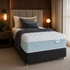 Sleepyhead For You Pinnacle Firm Mattress