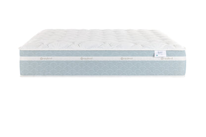 Sleepyhead For You Deluxe Medium Mattress