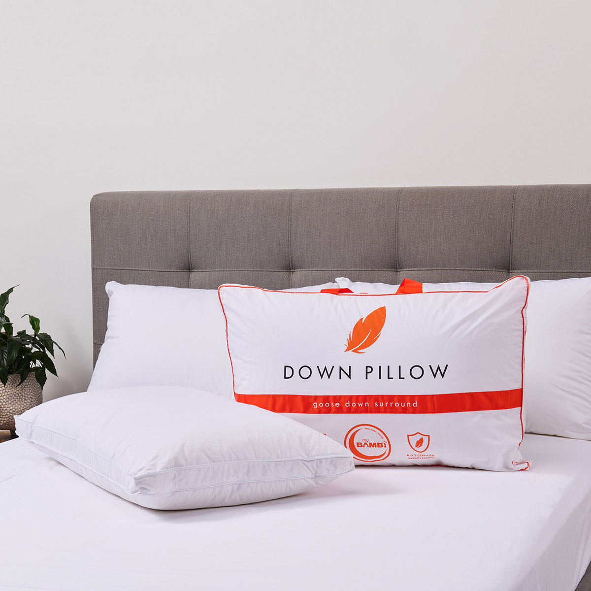 Goose Down Pillow