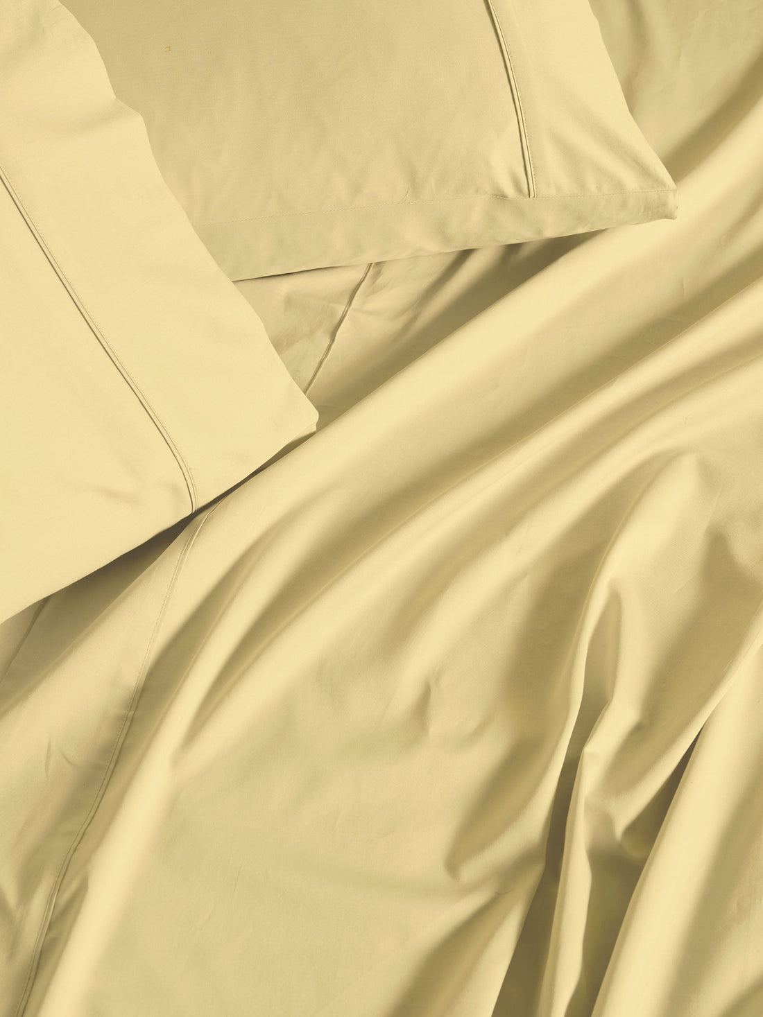 500TC Cotton Sateen Augusta Daffodil King Pillowcase