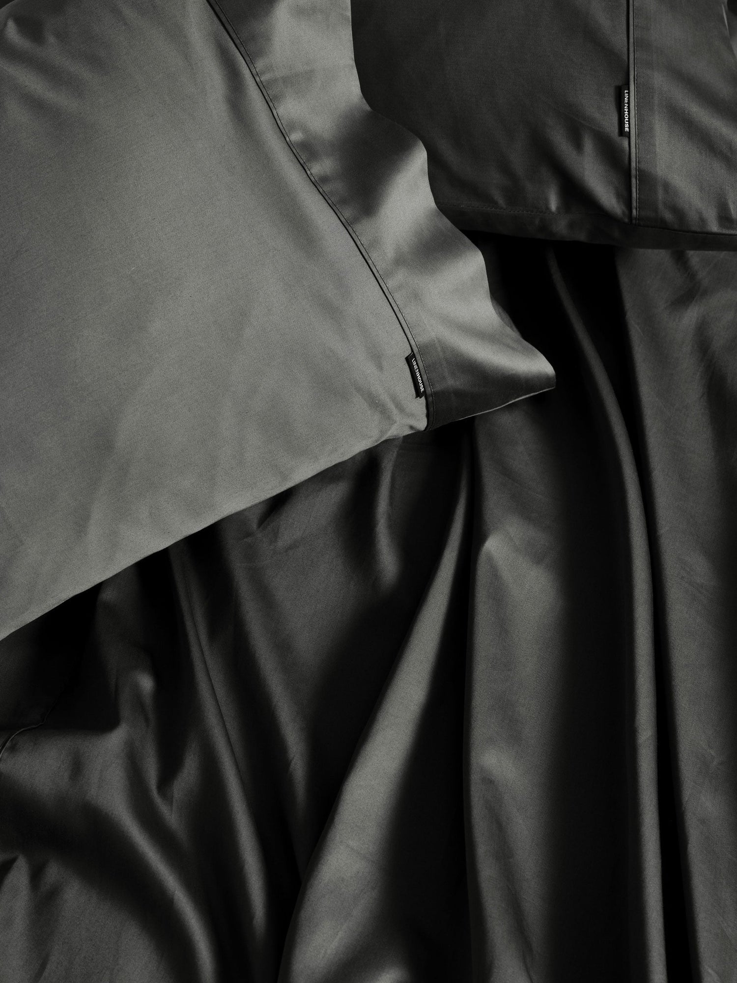 500TC Cotton Sateen Augusta Magnet King Pillowcase