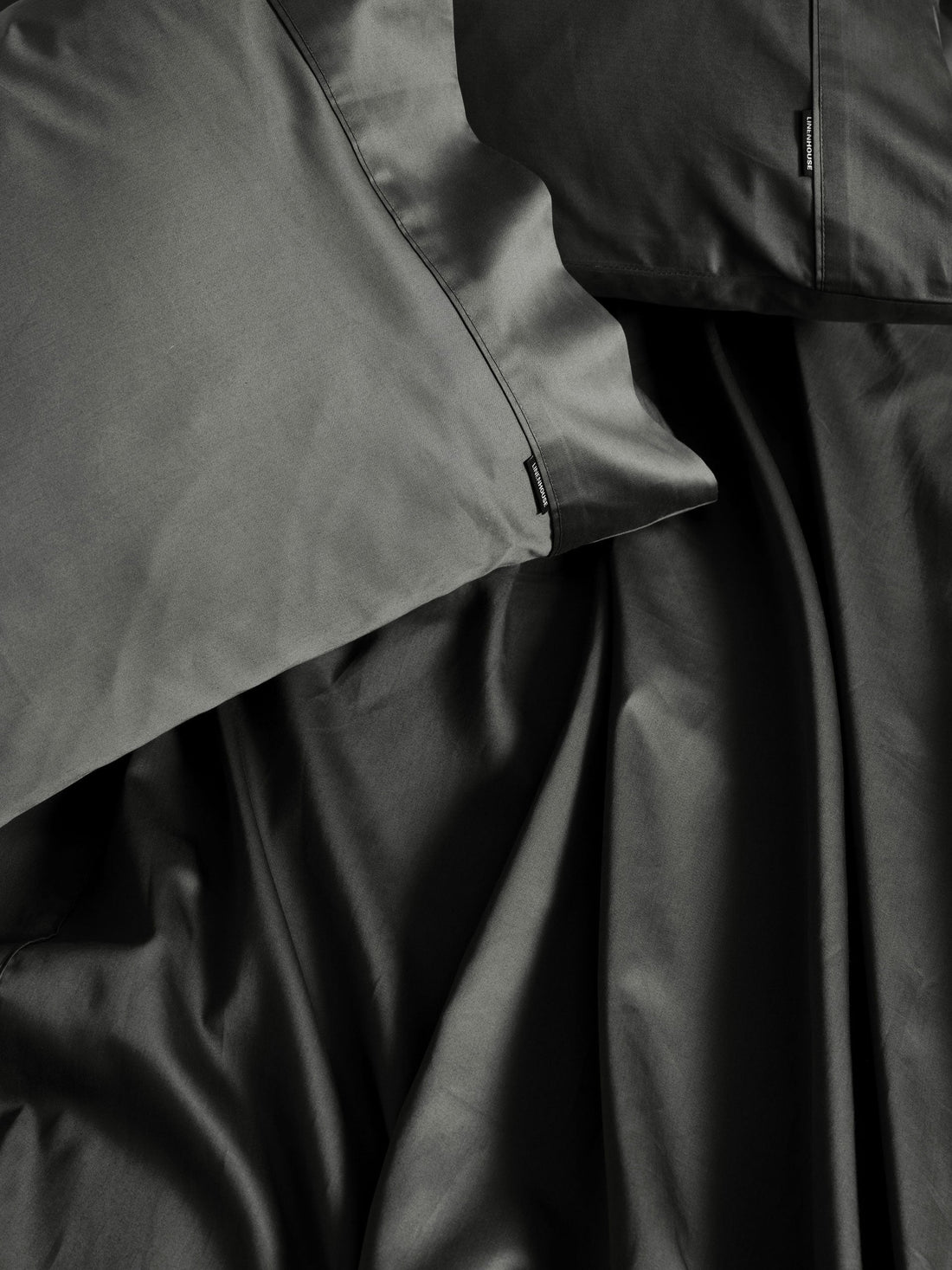 500TC Cotton Sateen Augusta Magnet Flat Sheet