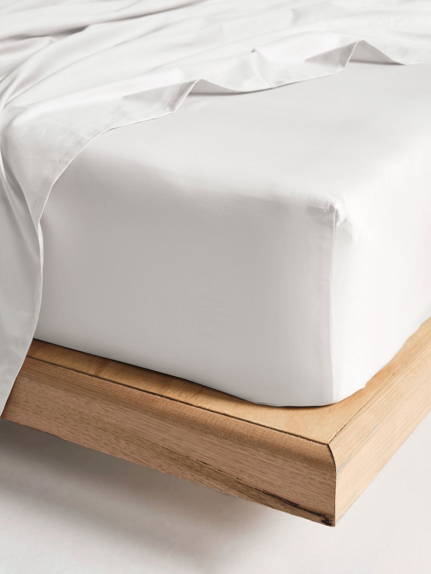 500TC Cotton Sateen Augusta White Fitted Sheet 60cm